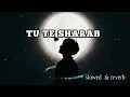 Tu Te Sharab |Slowed & Reverb | Mahira Sharma & Jordan Sandhu | New Punjabi Song 2023 @speedrecords