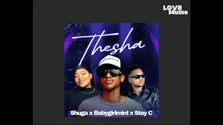 sugar x babygirlmint x stay c thesha 
