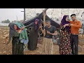 Download Lagu Rain of Love: And the doubt between Amina and Sajjad is resolved!