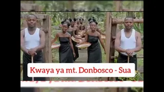 kwaya ya mt donbosco sua wew ni mungu official audio 