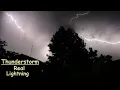 Download Lagu Real Thunderstorm Sounds Atmosphere for Sleeping \u0026 Relaxing | Real Lightnings behind the tree