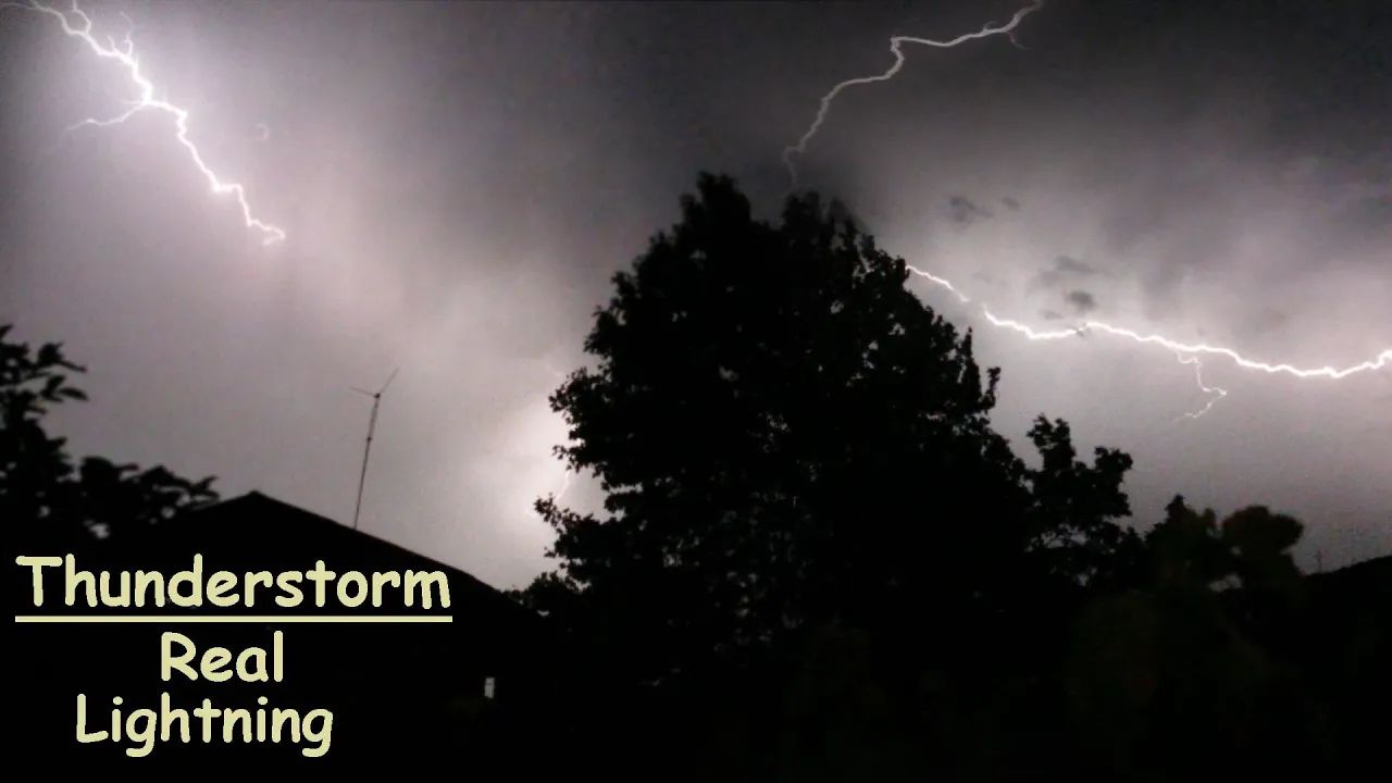 Real Thunderstorm Sounds Atmosphere for Sleeping & Relaxing | Real Lightnings behind the tree