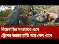 Lagu সিলেটে বিয়েবাড়ির দাওয়াতে এসে ট্রেনের ধাক্কায় হাতি পড়ে গেল খাদে | DBC NEWS