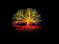 Lagu Ace Ventura - Tree of life