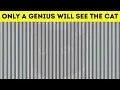 Download BEST OPTICAL ILLUSIONS TO KICK START YOUR BRAIN mp4 3gp mp3 videos - waplic
