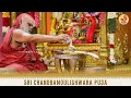 Sri Chandramoulishwara Puja for Loka Kalyana by Sringeri Jagadguru Sri Mahasannidhanam | Guru Nivasa