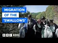 The little-known history of the Pyrenees mountain women - BBC REEL