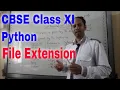 CBSE Class XI Python What is file extension