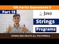 string accept delete all the vowels ICSE computer Java ICSE programs Important java programs