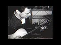 Kuluk - Erseqqarissoq