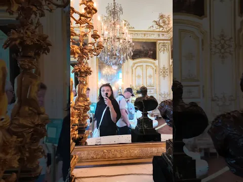 Emi passion château 🦋🏛️✨🌼 #vlog #chateau #dailyvlog #travel #france
