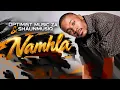 Optimist Music ZA & ShaunMusiq   Namhla feat  Al Xapo