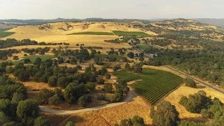 The Hidden Wine of Murphy s in Gold Country