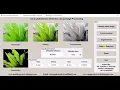Corn Leaf Disease Detection Using Matlab Project Source Code