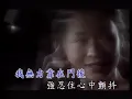 南方二重唱  敲痛我的心  早期MV