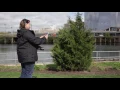 Philly311 App Illegal