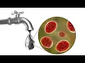 Download Lagu Waterborne disease|Water induced disease|Fluoride in drinking water|Environmental studies|EWM|BCS508