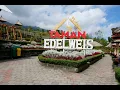 Lagu WISATA TAMAN EDELWEISS WONOKITRI, TOSARI PASURUAN | TAMAN BUNGA DI LERENG GUNUNG BROMO