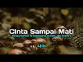 Download Lagu DJ CINTA SAMPAI MATI | DJ KOMANG RIMEX | LIRIK