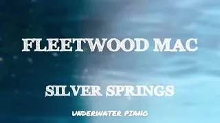 Fleetwood Mac Silver Springs Lyrics 