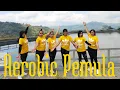 Lagu AEROBIC PEMULA // MUDAH DIIKUTI // SS PUSPITA WATES