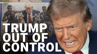 Trumps claims about migrants eating pets lead to chaos in Springfield, Ohio