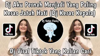 dj aku pernah menjadi yang paling keras jatuh hati dj keras kepala by alka flow viral tiktok 2024 