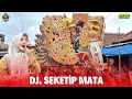 DJ. SEKETIP MATA -Voc. AUREL AULIA | SINGA DEPOK ANDI PUTRA 2 | LANGGENSARI - LELEA IM.