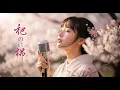 Lagu MUNGKIN NANTI – Peterpan (Japanese Version) | Female  Cover JV MUSIK| 桜の下で歌う