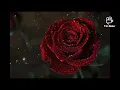 Tere Mere Darmiyaan (Acoustic)💞💞