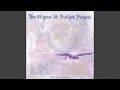 The 12 Year St Bridget Prayers