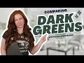 The Best Dark Green Paint Colors Sherwin Benjamin
