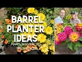 Barrel Planter Ideas Plants Best Practices and More