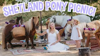 A PICNIC WITH SHETLAND PONIES!! BIRTHDAY SURPRISE!