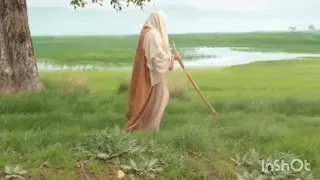 سمعوني هلا سيد فاقد ولاده الامام المهدي ع 