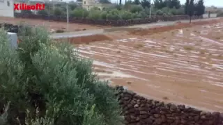 شاعر الجولان ابو سلطان ياربي ليش  شاعر الجولان ابو سلطان ياربي ليش