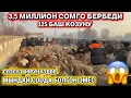 Lagu ШОК БАА 😱😱😱 3,5 МИЛЛИОН СОМГО КОЗУЛАР СООДА БОЛДУ. АРАЛ КОЙ БАЗАРЫ / 21 январь  2026  Жыл