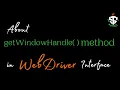 getWindowHandle method in WebDriver Interface in Selenium
