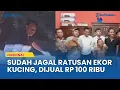 Download Lagu PENGAKUAN SUJADI, Pria Sumsel Sudah Jagal Ratusan Kucing, Daging Dijual Rp 100 Ribu Per Kg