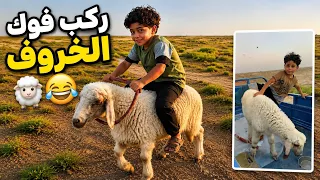 محسن جايب خروف والكوري وجقجوقة صعدو فوكة😂😰!؟