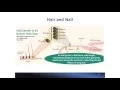 Methamphetamine and Amphetamine in Matching Nail and Hair Samples by Dr Irene Shu