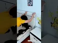 Download Lagu OMG😱 Dogy Style 🙈 Sex gadge #shorts #youtubeshorts #viral
