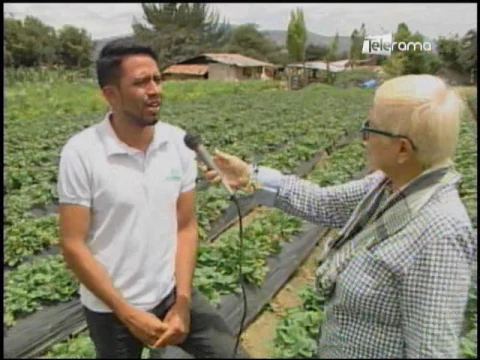 Ecuador Agropecuario 23-05-2017