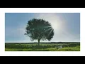 Barasuara - Terbuang Dalam Waktu (1 Hour)