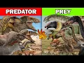 Dinosaurs Predator and Prey Dynamics Explained