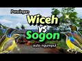Download Lagu SUARA PIKAT WICEH (kolibri kelapa) KOMBINASI SOGON UNTUK PANCINGAN AMPUH #kolibrikelapa #sogon
