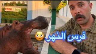 جولة جميلة في حديقة حيوانات ومتنزه محافظة أربيل الجميلة