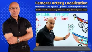 Femoral Artery Localization | Lower Limb Anatomy | Human Anatomy