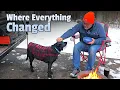 Lagu Winter Camping with My Dog in the Ohio Valley | Diesel Heater, Teardrop \u0026 Life Moments