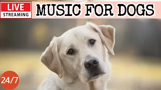 🔴[LIVE] Dog Music🎵Dog Calming Music for Dogs🐶🎵Separation Anxiety Relief Music💖Dog Sleep Music🔴2-1